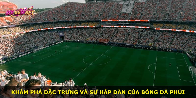 Khám phá đặc trưng và sự hấp dẫn của bóng đá phủi