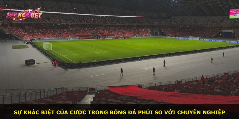 Sự khác biệt của cược trong bóng đá phủi so với chuyên nghiệp