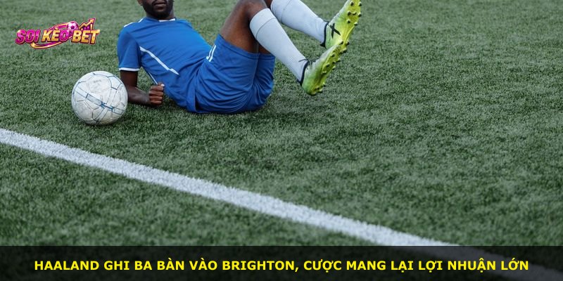 Haaland ghi ba bàn vào Brighton, cược mang lại lợi nhuận lớn