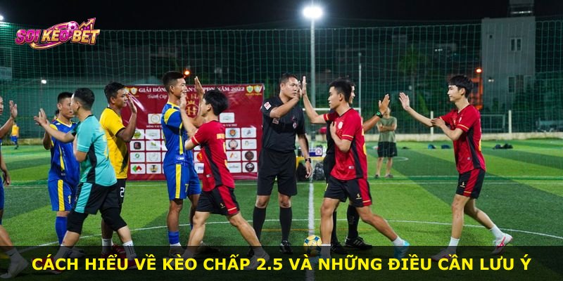 Cách hiểu về kèo chấp 2.5 và những điều cần lưu ý
