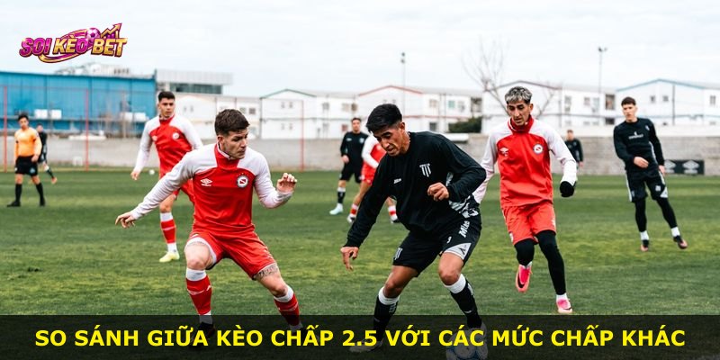 So sánh giữa kèo chấp 2.5 với các mức chấp khác