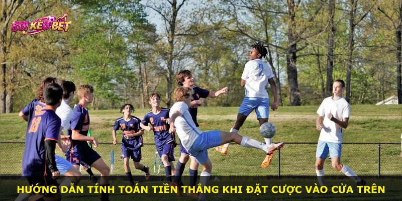 Hướng dẫn tính toán tiền thắng khi đặt cược vào cửa trên