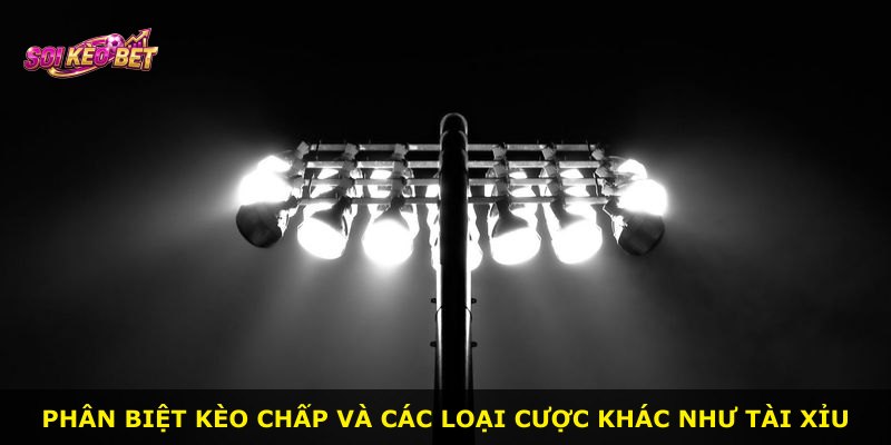 Phân biệt kèo chấp và các loại cược khác như tài xỉu