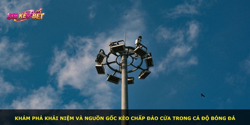 Khám phá khái niệm và nguồn gốc kèo chấp đảo cửa trong cá độ bóng đá