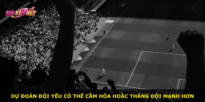 Dự đoán đội yếu có thể cầm hòa hoặc thắng đội mạnh hơn