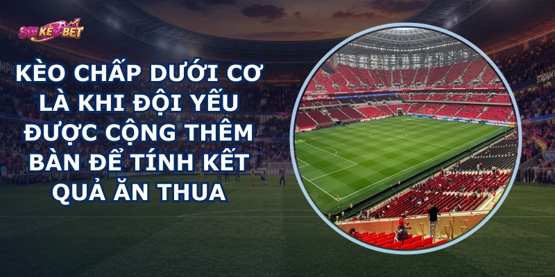 Kèo Chấp Dưới Cơ