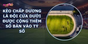 Kèo Chấp Dương