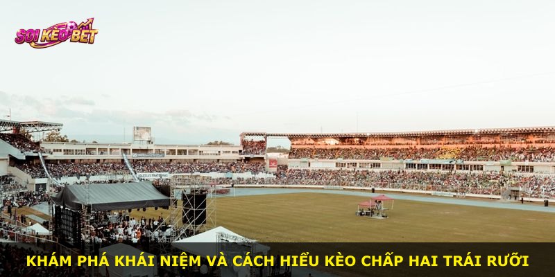 Khám phá khái niệm và cách hiểu kèo chấp hai trái rưỡi