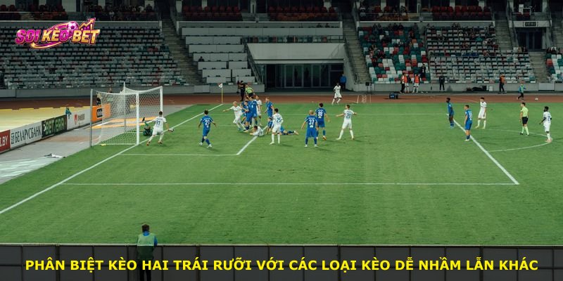 Phân biệt kèo hai trái rưỡi với các loại kèo dễ nhầm lẫn khác