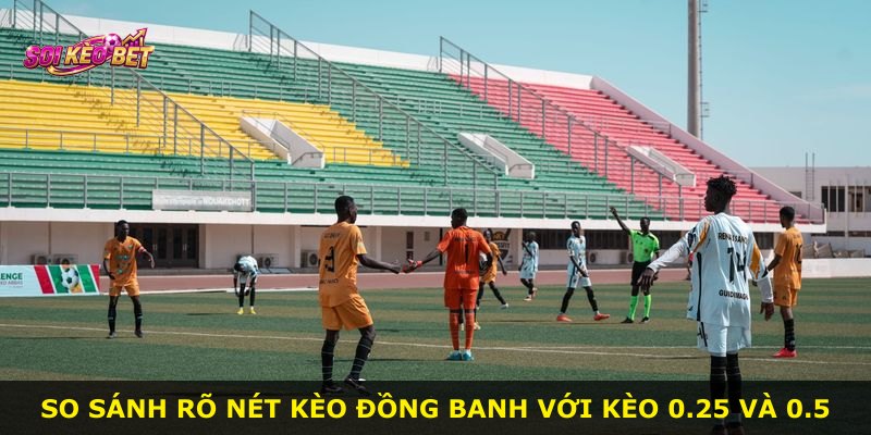 So sánh rõ nét kèo Đồng Banh với kèo 0.25 và 0.5