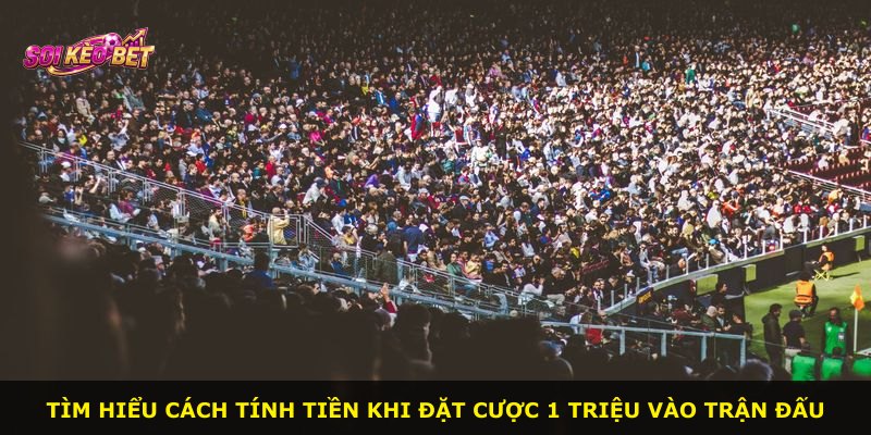 Tìm hiểu cách tính tiền khi đặt cược 1 triệu vào trận đấu