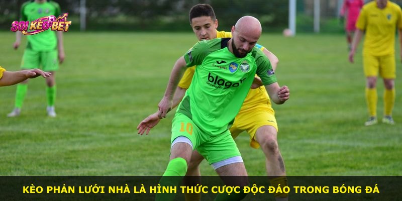 Kèo phản lưới nhà là hình thức cược độc đáo trong bóng đá