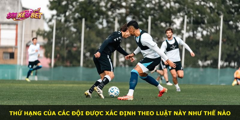 Thứ hạng của các đội được xác định theo luật này như thế nào