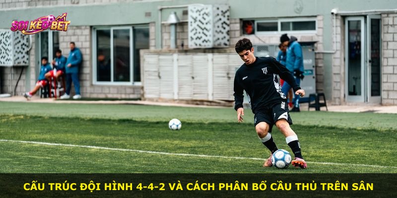 Cấu trúc đội hình 4-4-2 và cách phân bổ cầu thủ trên sân