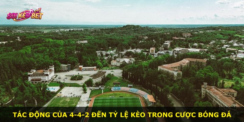 Tác động của 4-4-2 đến tỷ lệ kèo trong cược bóng đá