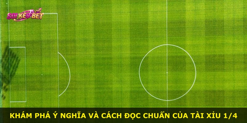 Khám phá ý nghĩa và cách đọc chuẩn của Tài Xỉu 1/4