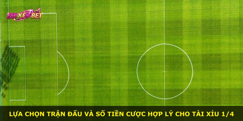 Lựa chọn trận đấu và số tiền cược hợp lý cho Tài Xỉu 1/4