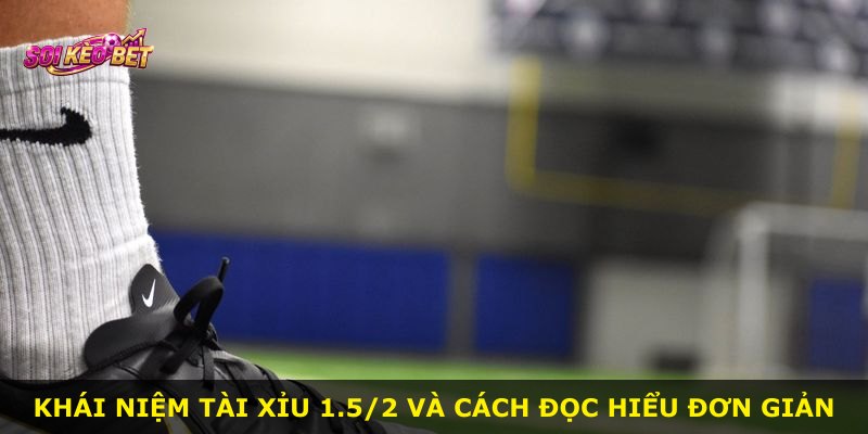 Khái niệm Tài Xỉu 1.5/2 và cách đọc hiểu đơn giản