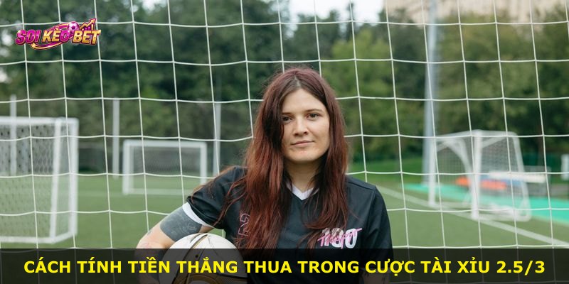 Cách tính tiền thắng thua trong cược Tài Xỉu 2.5/3