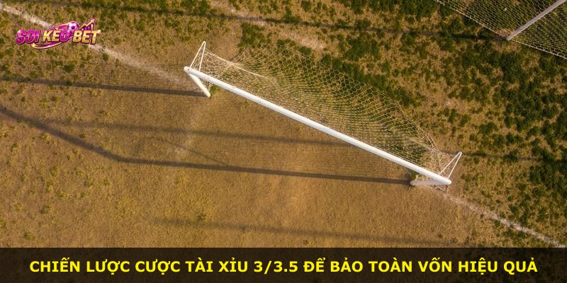 Chiến lược cược Tài Xỉu 3/3.5 để bảo toàn vốn hiệu quả