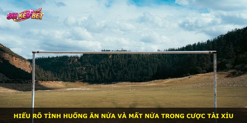 Hiểu rõ tình huống ăn nửa và mất nửa trong cược Tài Xỉu