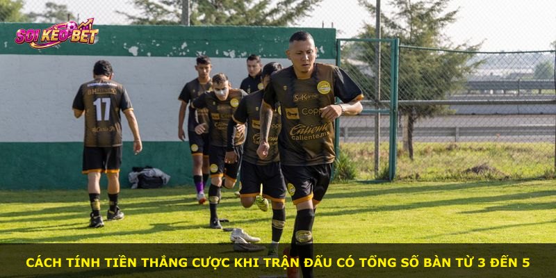 Cách tính tiền thắng cược khi trận đấu có tổng số bàn từ 3 đến 5