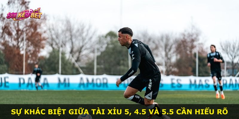 Sự khác biệt giữa Tài Xỉu 5, 4.5 và 5.5 cần hiểu rõ