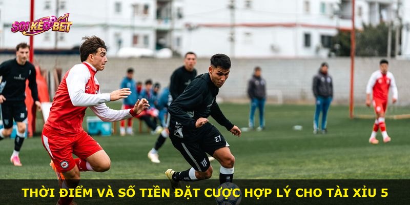 Thời điểm và số tiền đặt cược hợp lý cho Tài Xỉu 5