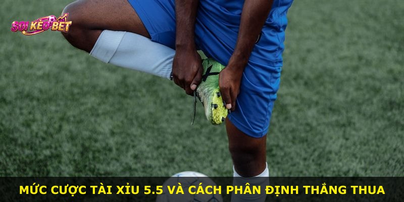 Mức cược Tài Xỉu 5.5 và cách phân định thắng thua
