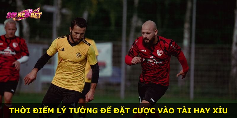 Thời điểm lý tưởng để đặt cược vào Tài hay Xỉu