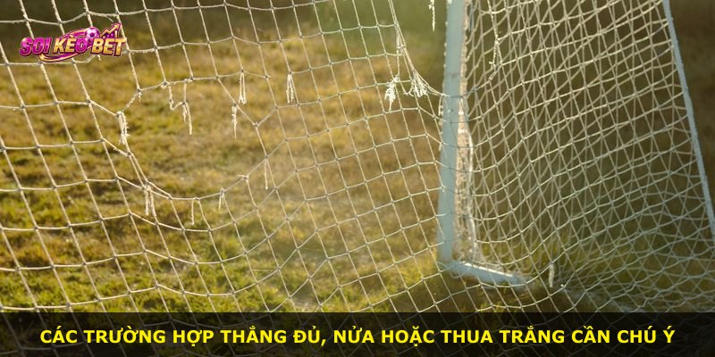 Các trường hợp thắng đủ, nửa hoặc thua trắng cần chú ý