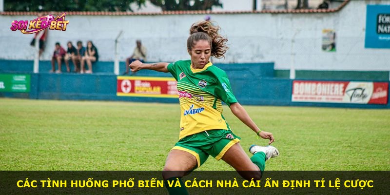 Các tình huống phổ biến và cách nhà cái ấn định tỉ lệ cược